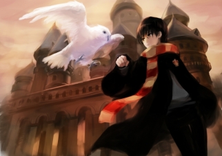 Harry.Potter.(Character).full.274763