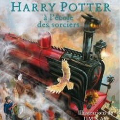 harry-potter,-tome-1---harry-potter-a-l-ecole-des-sorciers--illustre--687761-250-400